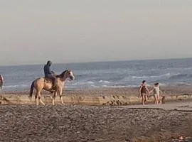 REALLY BEACH FRONT, 1 BEDR HOUSE, INTERNET, DOWNT.