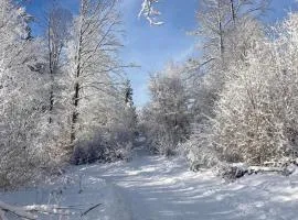 Chata na Zbojskej - Zbojská
