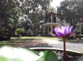 Blue Point Rest