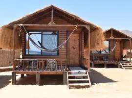 Shanty beach camp suer
