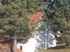 Planinska kućica Svetlana Zlatibor, hotel with parking in Ribnica