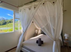 Chambre Roucou vue Mont Pelée, homestay in Le Morne Rouge