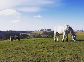 Old Barn Farmhouse, holiday home in Uplawmoor