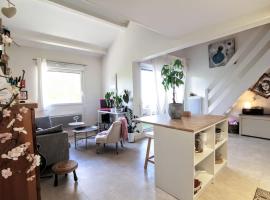 COSY Home - 2 à 4 pers - Aéroport - vieux Blagnac, íbúð í Blagnac