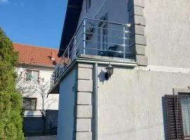 Vojin Meljak