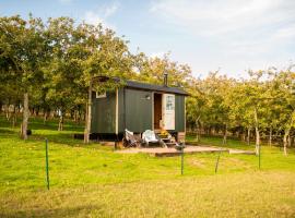 Harrys Hideout - Shepherd's Huts at Harrys Cottages, hotel v destinaci Pen y Clawdd