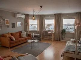 Cozy mountain view apartment