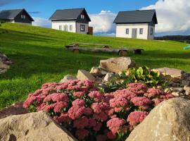 Jaśkowe Wzgórze domki na wynajem Szymbark, balia, Domek nr 2 i 3