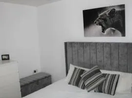 Lovely Modern Apartment Close to Town Centre