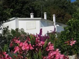 Villa Giulia - Apartment in Villa with sea view