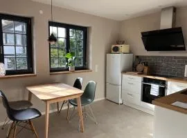 Neubau im Loft-Stil mit großer Terrasse