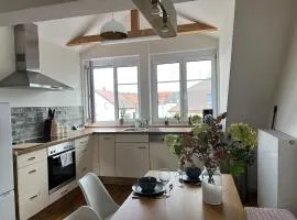 Schöne Altbauwohnung mit großer Dachterrasse für bis zu 8 Personen