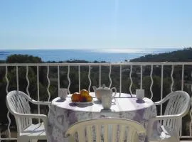 AGAY, Cap Esterel, magnifique vue mer panoramique et Esterel, terrasse, piscines, parking, dernier étage, 3 étoiles