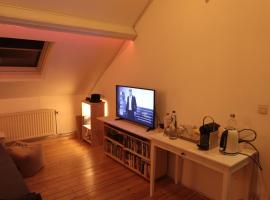 Serbie 21, homestay in Brussels