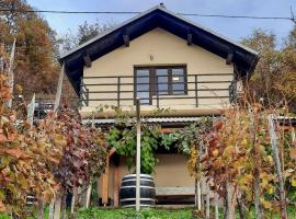 Vineyard cottage Kulovec, casa rústica em Uršna Sela