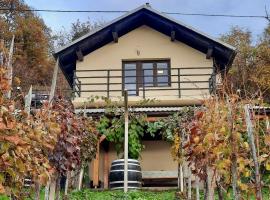 Vineyard cottage Kulovec, apartamento en Uršna Sela