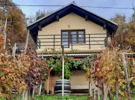 Vineyard cottage Kulovec