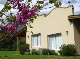 Casas Tomillo Silvestre