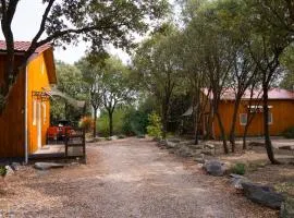 GITES de Plos Appart CHALET PISCINE SPA