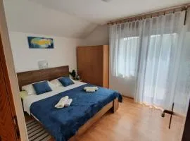 Apartment Selak