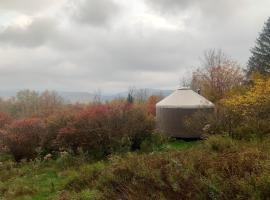 Livingston Manor YURT, luxury tent in Parksville
