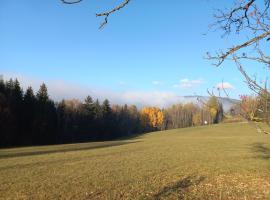 Zlatá Olešnice, pomezí Jizerek a Krkonoš, hotel v destinaci Zlatá Olešnice
