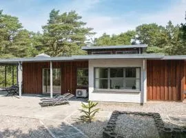 Amazing Home In Hadsund With 3 Bedrooms, Sauna And Wifi