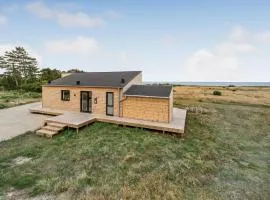 Nice Home In Skjern With Wifi