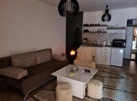 Studio Apartman ARAS – hotel z parkingiem w mieście Bistrica