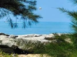 His Grace Camping at Malpe Beach