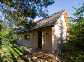 Sen Sosen - czarujący dom z sauną, basenem i stodołą – dom wakacyjny w mieście Klecza Górna