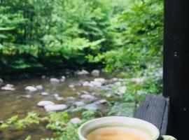 Cottage by the river Valea Draganului, מלון בPoeni