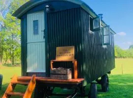 The Big Green Shepherds Hut