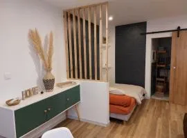 Appartement - Narbonne