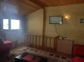 apartment megi