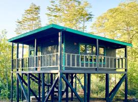 Molco Cabins Palafito, hotel in Pucón