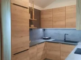 Apartment - Golden Fox 18 - Pohorske terase