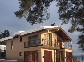 Villa Astoria Bakuriani, hotel v destinaci Bakuriani