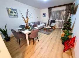 Apartmani "Vila Jelena" Arandjelovac