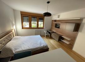 Apartment Maximus II lux, hotel in Novi Beograd