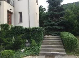 Maharaja Buda Villa Apartment - Private Parking and Garden