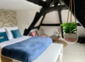 Mon Saint-Martin - APPART’HOTEL - Cœur de Bayeux