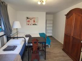 LAZY TURTLE, parking, barbecue, bicycle, guest house in Ljubljana