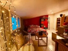 Résidence CAENEE, le dépaysement Naturiste en été avec l'atypique studio climatisé "vintage" en sous pente, sa "paillote" avec jacuzzi, entouré de verdure, planchagrill, transats, vélos gratuits, wifi 5G, Travel Proud LGBTQI, chiens admis