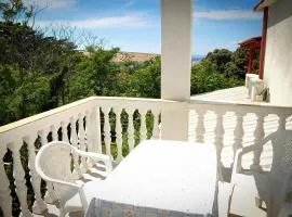 Apartment in Lopar with sea view, terrace, air conditioning, W-LAN 4229-4