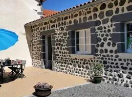 Gîte moderne à Arlempdes: spa, terrasse, grands espaces et visites culturelles - FR-1-582-107
