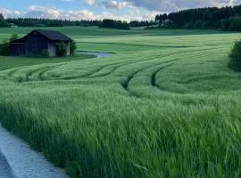 Ferienwohnung Naturpark Schwarzwald