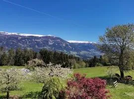 Ferienwohnung Bergblick