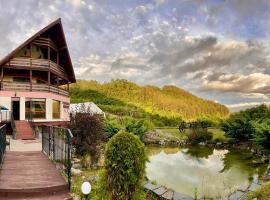 Pensiunea Armonia, hotel v destinaci Nădăşelu