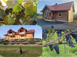 Fantastic View Vineyard Beskid Mountains